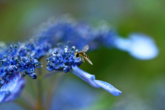 a0242438_19838100.jpg