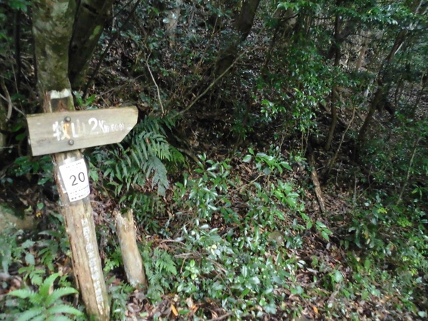 a0206345_15302245.jpg