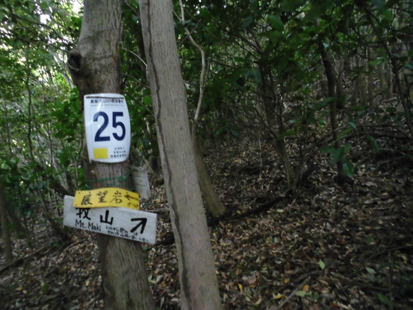 a0206345_1538015.jpg