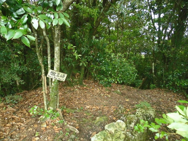 a0206345_15523738.jpg