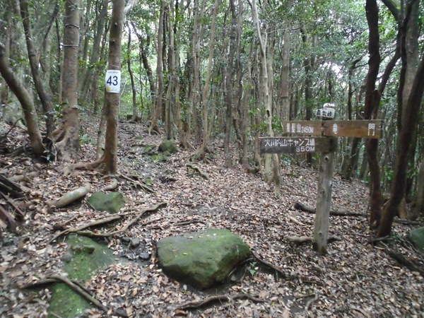 a0206345_15532581.jpg