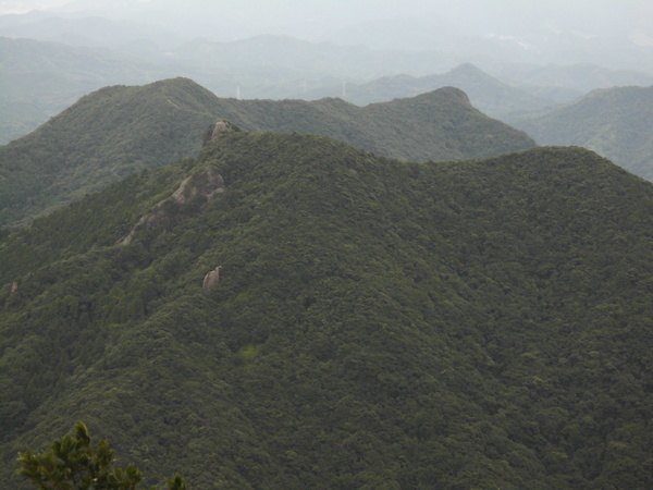 a0206345_160982.jpg