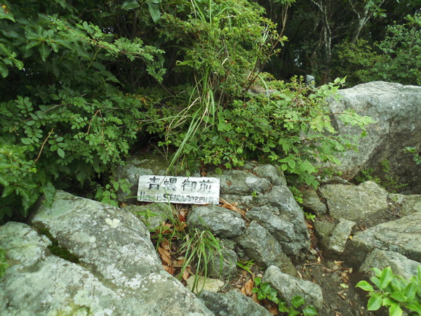 a0206345_1615549.jpg