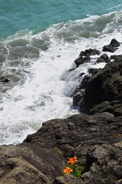e0229455_18584573.jpg