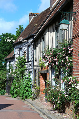 f0229759_14063458.jpg