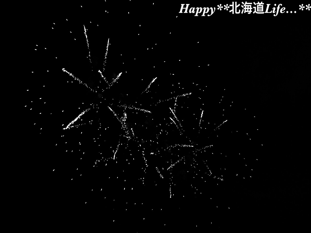 a0337860_21482214.jpg