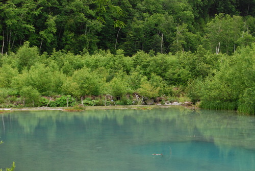 d0087062_1915397.jpg