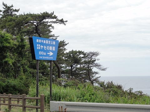 d0029363_1429156.jpg