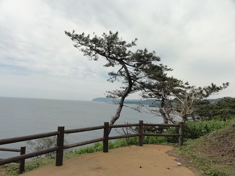d0029363_14293410.jpg
