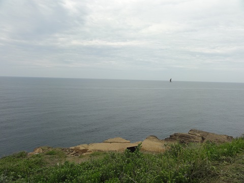 d0029363_14294917.jpg