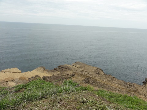 d0029363_14295878.jpg