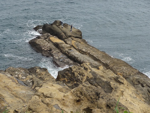 d0029363_1430463.jpg