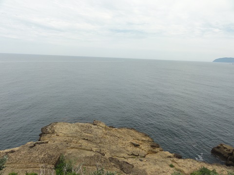 d0029363_1430851.jpg