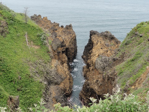 d0029363_14311839.jpg