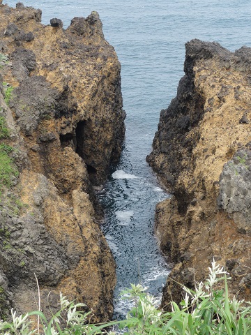 d0029363_14313819.jpg