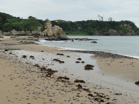 d0029363_22121844.jpg