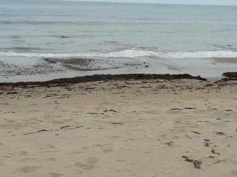 d0029363_22125951.jpg