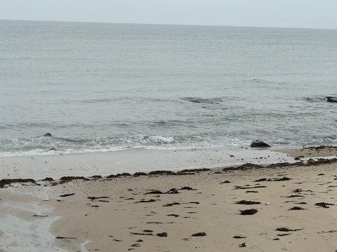 d0029363_22131157.jpg