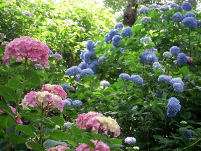 c0050264_0371338.jpg