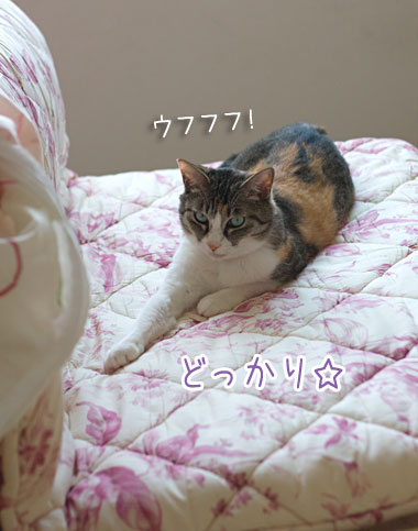 a0119470_13374992.jpg