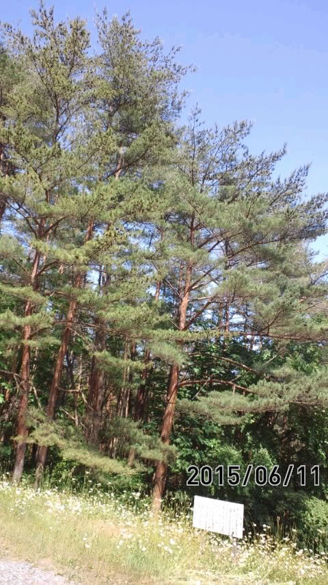 e0063270_14184347.jpg
