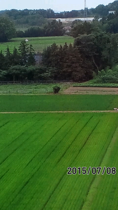 e0063270_14184371.jpg