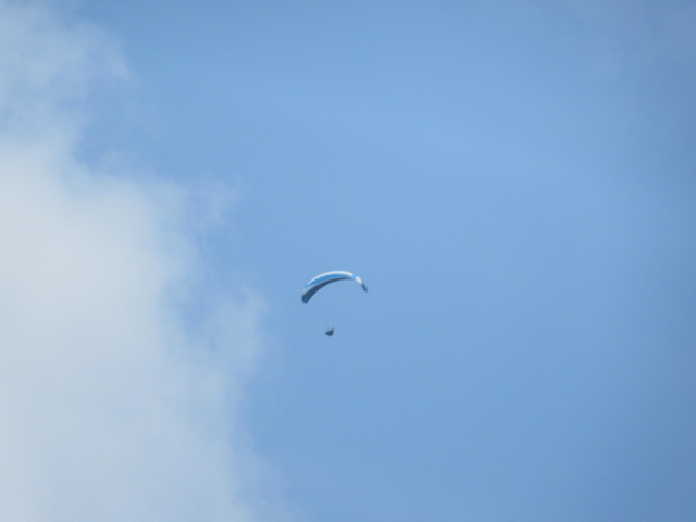 d0109373_20321966.jpg