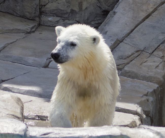 b0014576_23415139.jpg