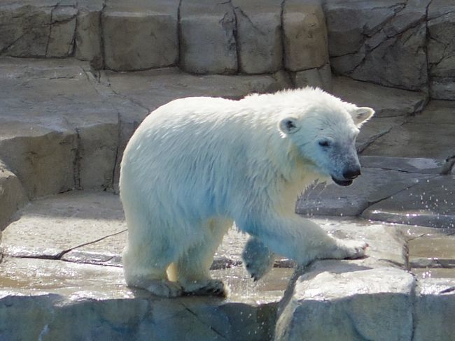 b0014576_23433750.jpg
