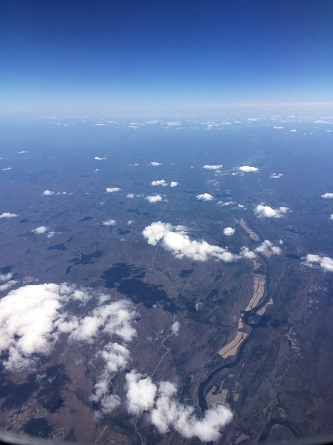 a0133679_1451457.jpg