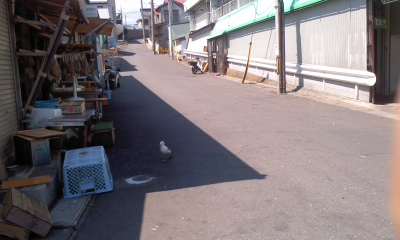 c0069380_18311072.jpg