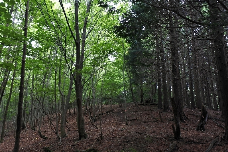 e0024081_10164529.jpg