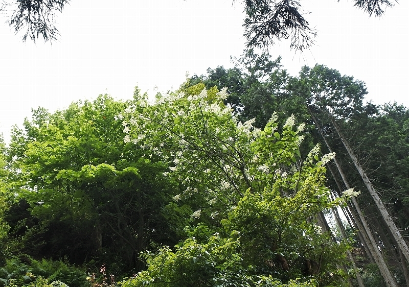e0024081_10232912.jpg