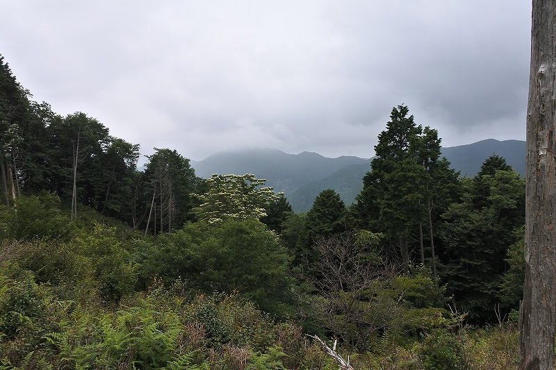 e0024081_10320013.jpg