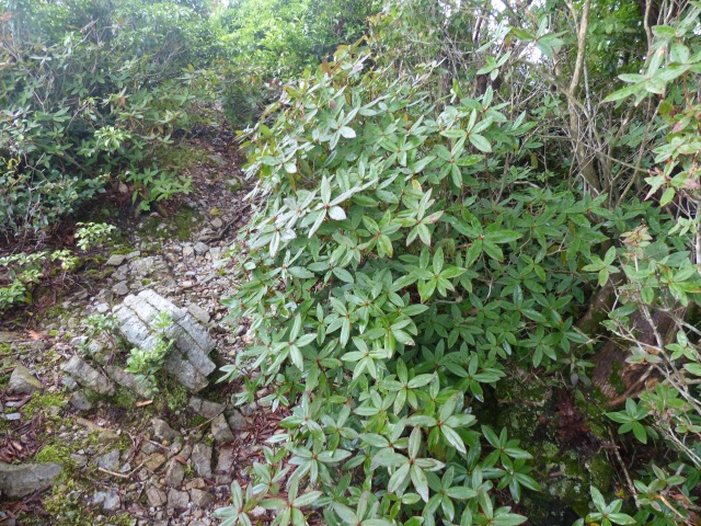 f0357487_16394455.jpg