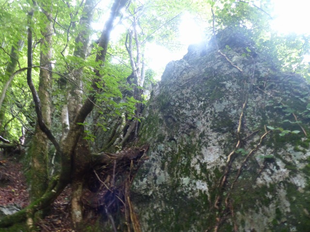 f0357487_16465525.jpg