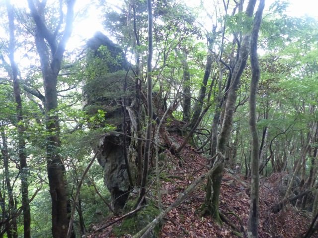 f0357487_16484180.jpg