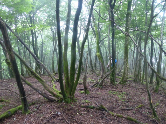 f0357487_23355277.jpg