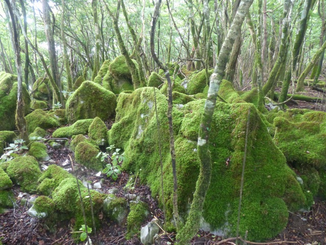 f0357487_23383510.jpg
