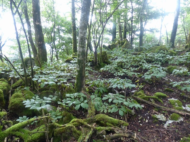 f0357487_23394119.jpg