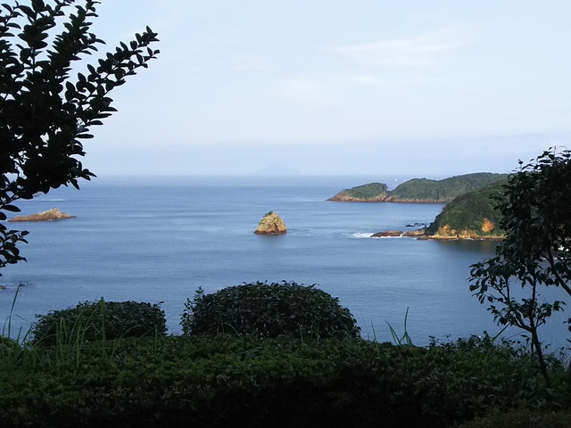 a0229491_2234950.jpg