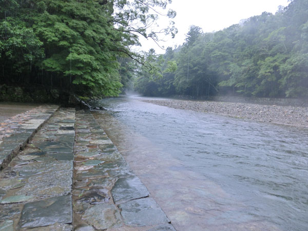 e0131399_164645.jpg