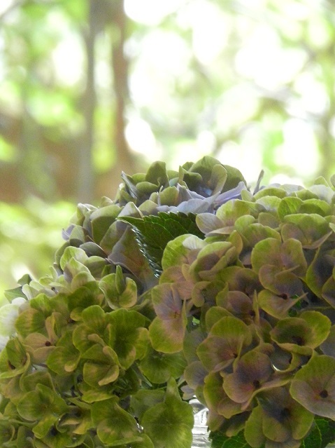 c0152002_21404724.jpg