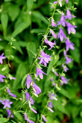 f0041606_22055451.jpg