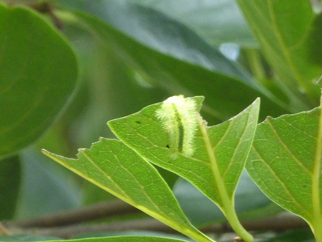 d0037110_20555771.jpg