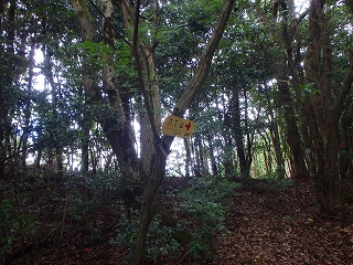 f0193521_21115194.jpg