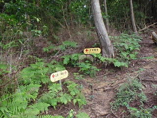 f0193521_21161335.jpg