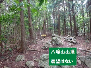 f0193521_21163485.jpg