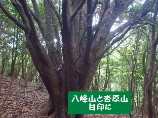 f0193521_21165462.jpg