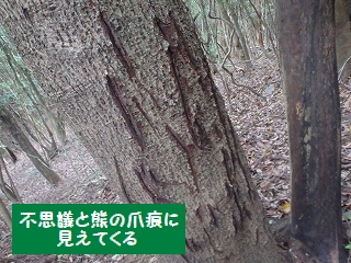 f0193521_21171657.jpg